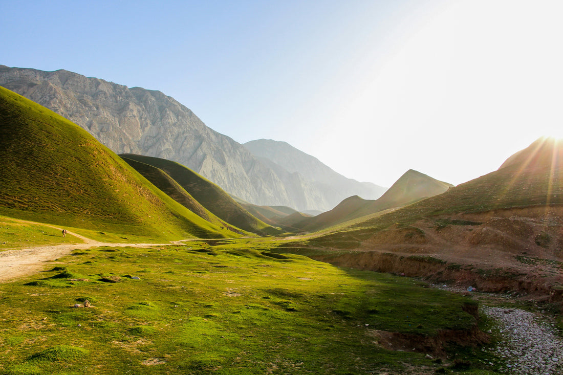 The Art of Disobedience: Rethinking High Jewellery Through Afghan Tourmalines