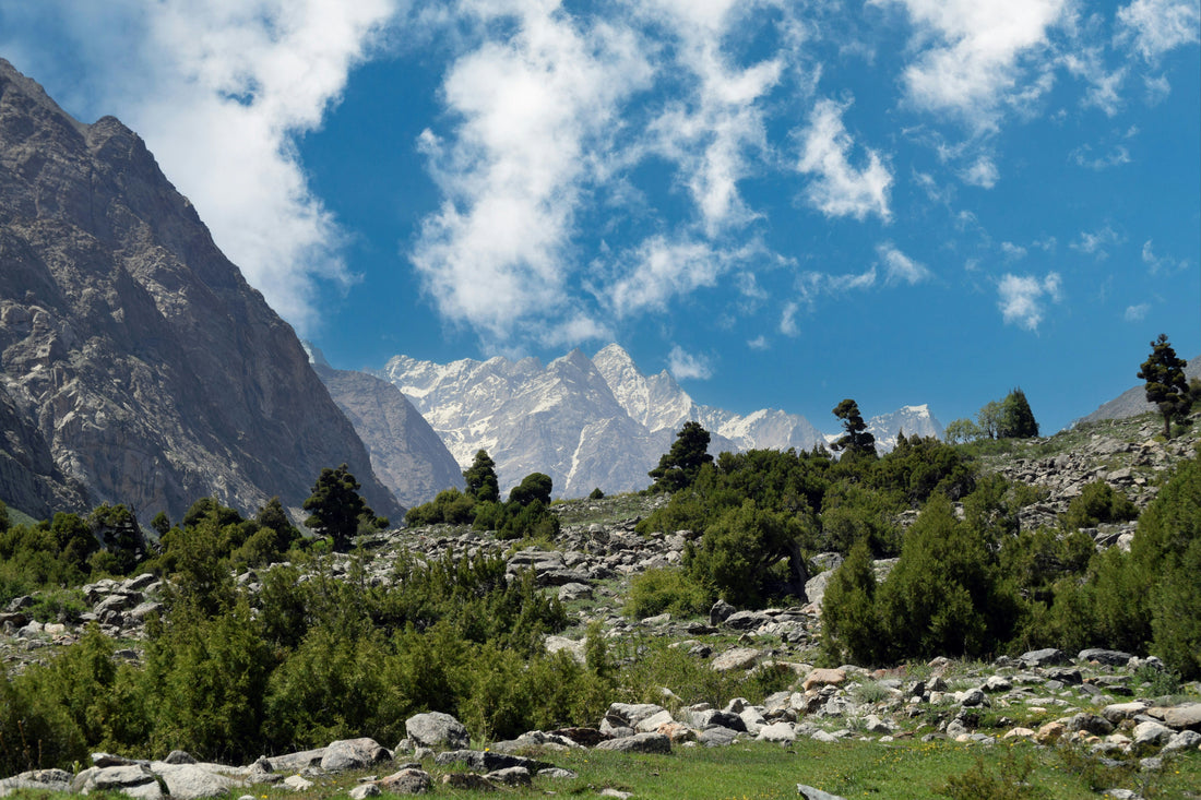 Tourmalines from Afghanistan: A Sustainable Treasure in the Global Gem Trade