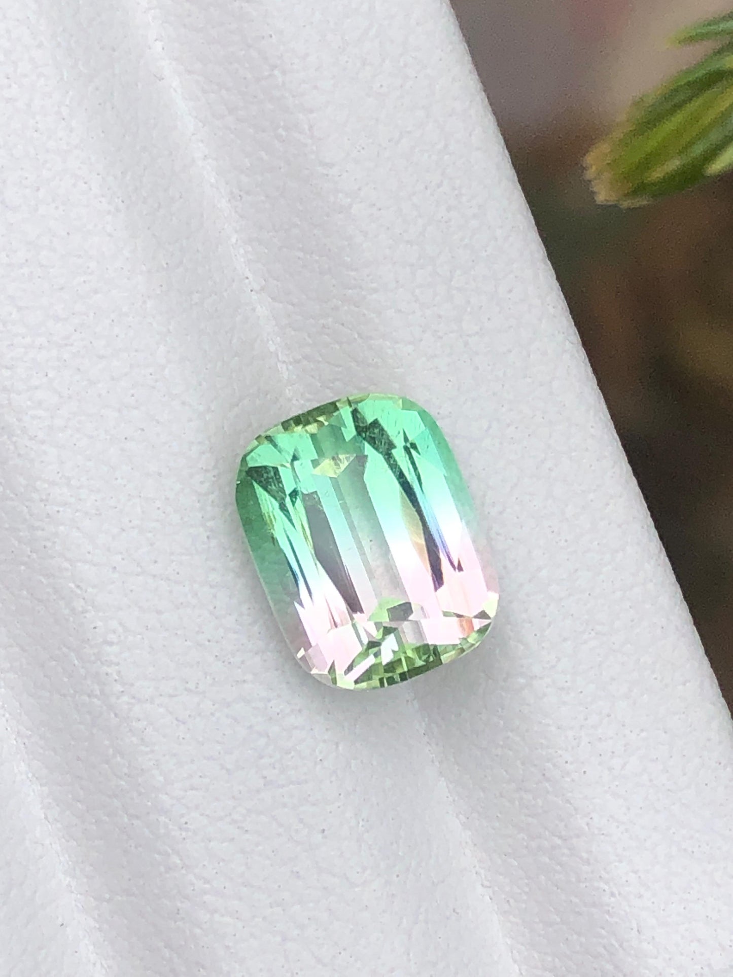 4.60 Carat Bicolour Tourmaline