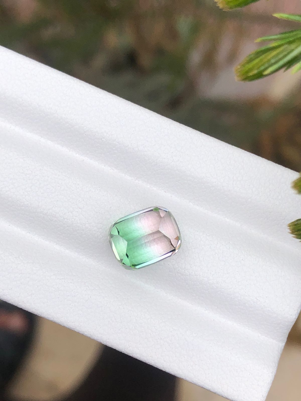 4.60 Carat Bicolour Tourmaline