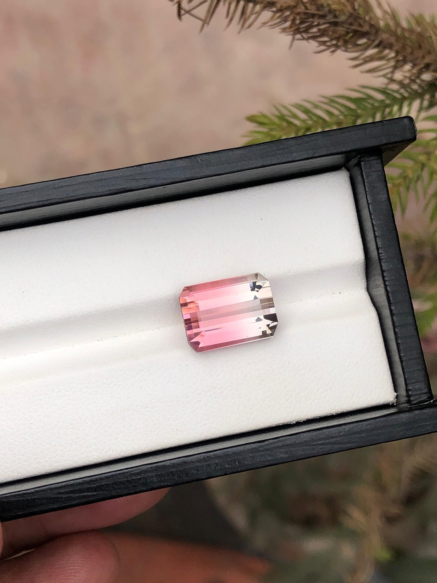 10.33 Carat Bicolour Tourmaline