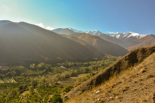The Whole Truth About Afghan Tourmalines