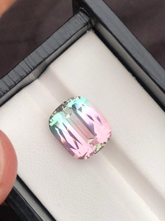 11.90 Carat Bicolour Tourmaline
