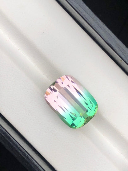15.25 Carat Bicolour Tourmaline