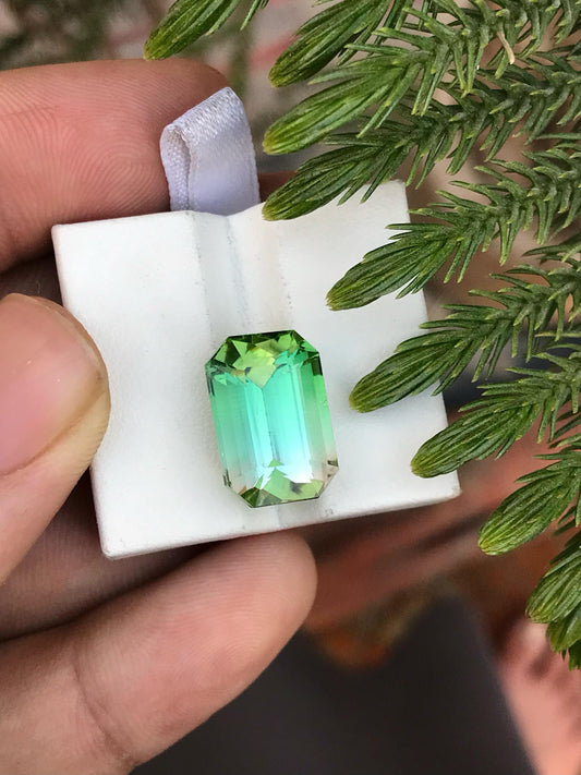 12.59 Carat Bicolour Tourmaline