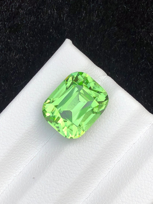 9.80 Carat Apple Green Peridot