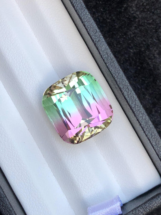 22.45 Carat Bicolour Tourmaline