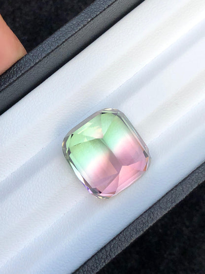 22.45 Carat Bicolour Tourmaline