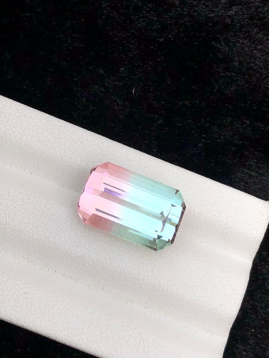 13.69 Carat Bicolour Tourmaline