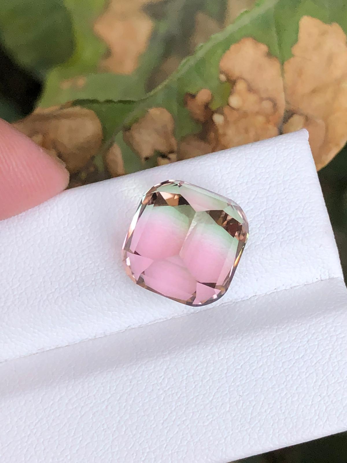 13.70 Carat Bicolour Tourmaline