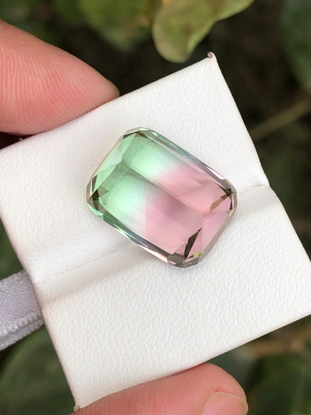 20 Carats Bicolour Tourmaline