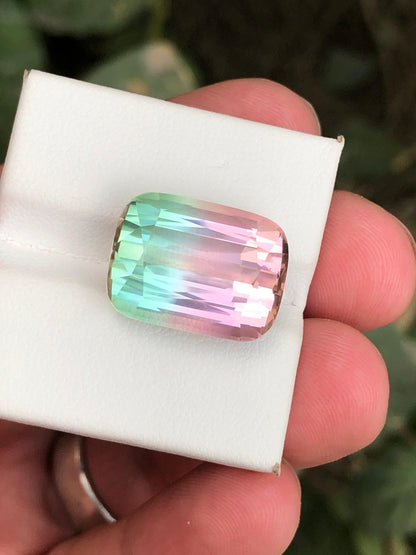 20 Carats Bicolour Tourmaline