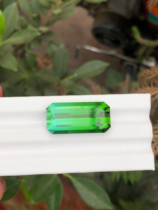 28.68 Carat Blue-Green Bicolour Tourmaline