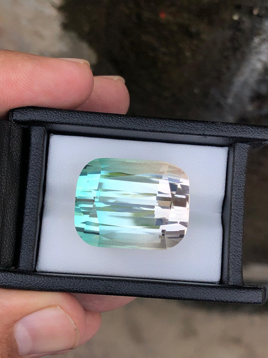 69.89 Carat Bicolour Tourmaline from Afghanistan