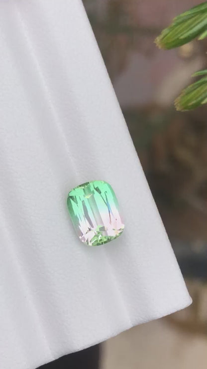 4.60 Carat Bicolour Tourmaline
