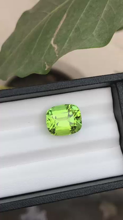 10.00 Carat Apple Green Tourmaline