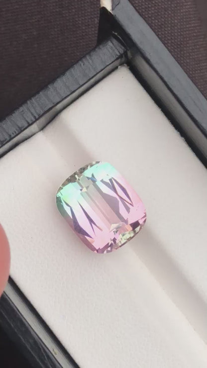 11.90 Carat Bicolour Tourmaline