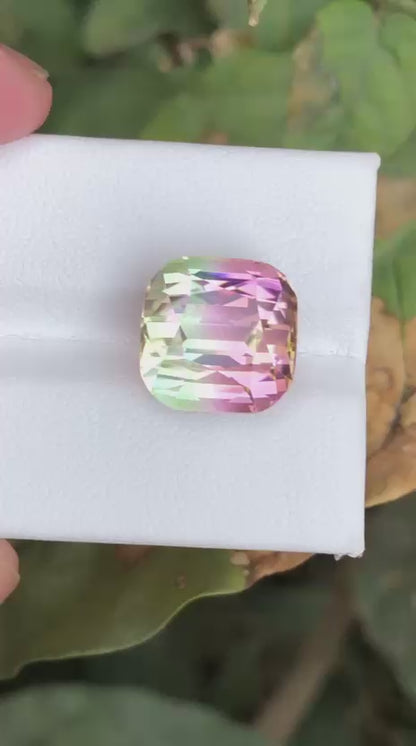 13.70 Carat Bicolour Tourmaline