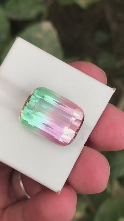 20 Carats Bicolour Tourmaline