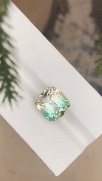 11.17 Carat Bicolour Tourmaline
