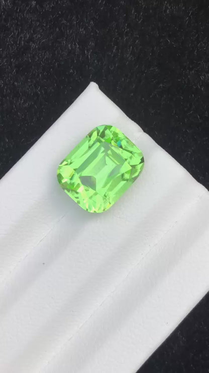 9.80 Carat Apple Green Peridot