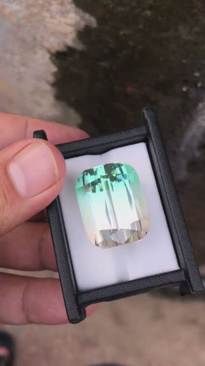 69.89 Carat Bicolour Tourmaline from Afghanistan