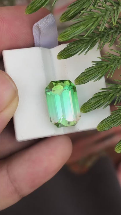 12.59 Carat Bicolour Tourmaline