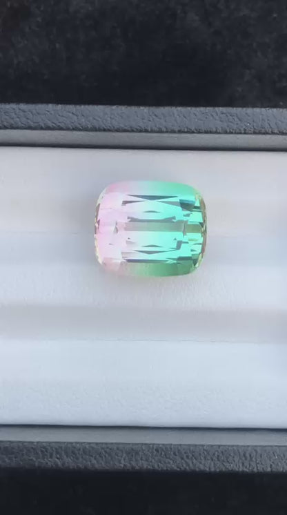 12.57 Carat Bicolour Tourmaline