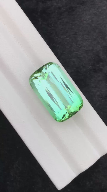 38.49 Carat Bluish-Green Tourmaline