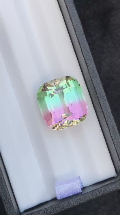 22.45 Carat Bicolour Tourmaline